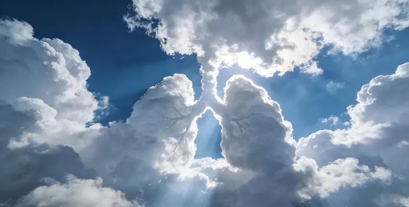 咸阳肺癌13基因突变检测（组织）图片1