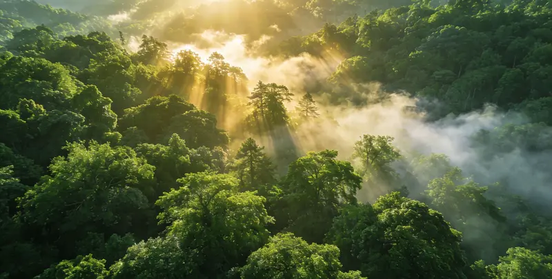 咸阳肺癌120基因ctDNA突变检测(血液）图片1