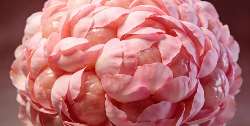 咸阳BRCA1/2乳腺癌卵巢癌基因检测图片1